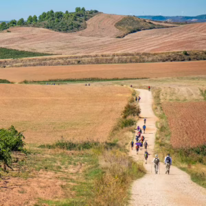 szlak między polami