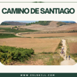 have you ever heard of the camino de santiago?